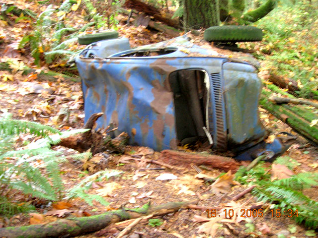 Back
			View of Blue Bug