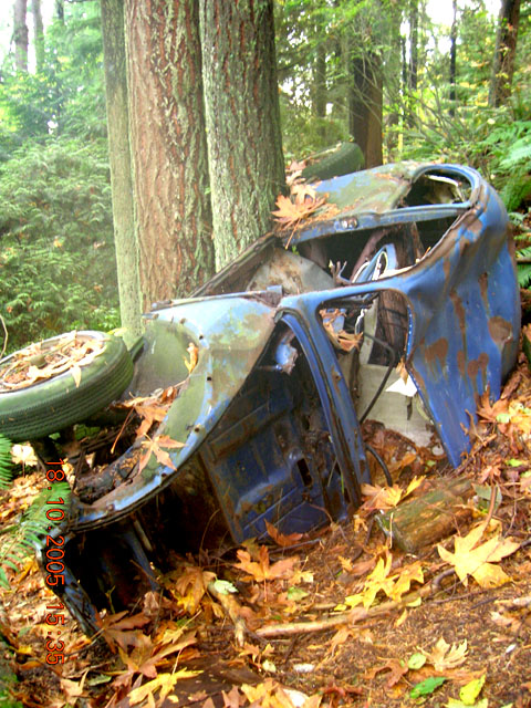 Front
			View of Blue Bug