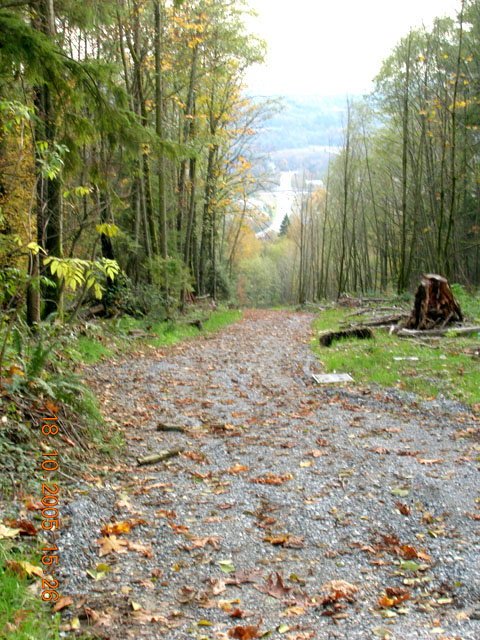 Pipeline
			Cut