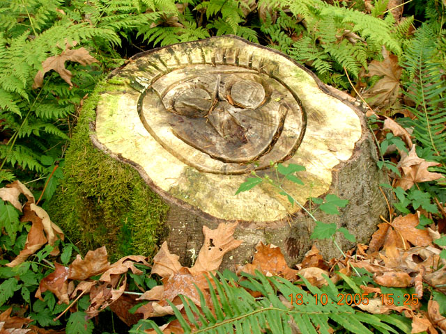 Face on
			Stump