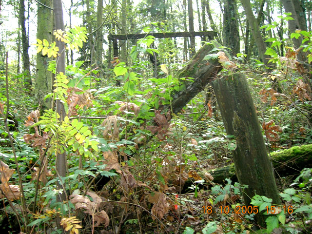 The
			Ruined Playground