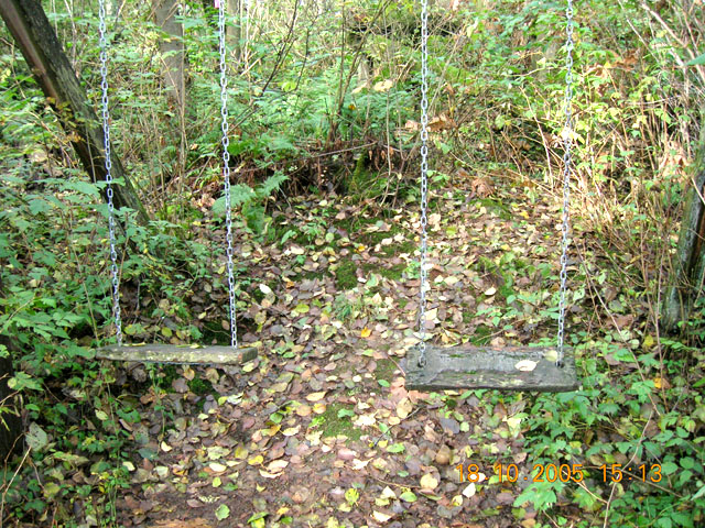 The
			Swings