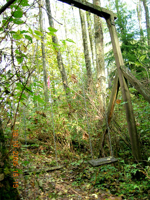Tall View
			of Swings