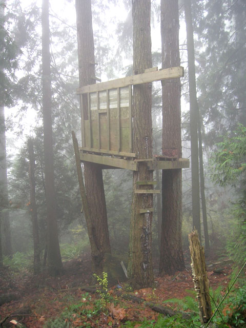 Treehouse