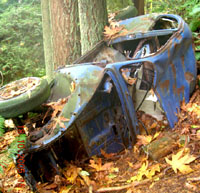 BlueBug Thumbnail
