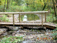 PondBoardwalk Thumbnail
