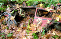 RedBug Thumbnail