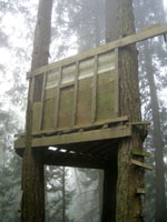 TreeHouse Thumbnail